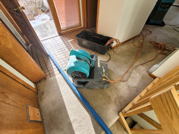 Best Mold removal after water damage  in West Long Branch, NJ
