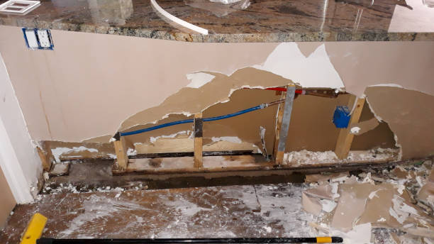 Best 24-hour water damage restoration  in West Long Branch, NJ