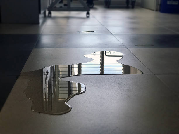 Best 24/7 water damage repair  in West Long Branch, NJ