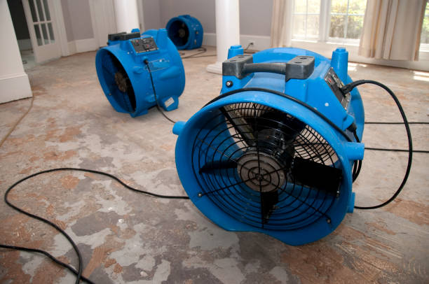 Best Flood restoration services  in West Long Branch, NJ